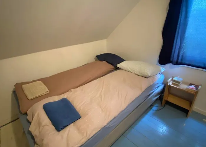 The Greenhouse Hébergement de vacances Vestvagoy